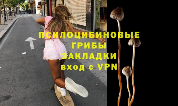 дурь Алзамай