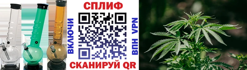 МАРИХУАНА сатива блэк спрут ONION Снежногорск